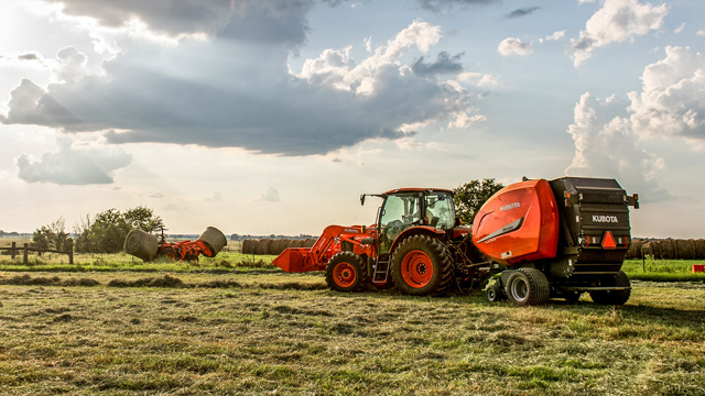 Hay & Forage